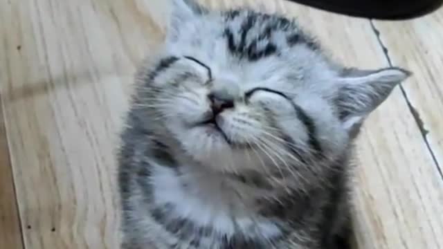 Look at his face !!!