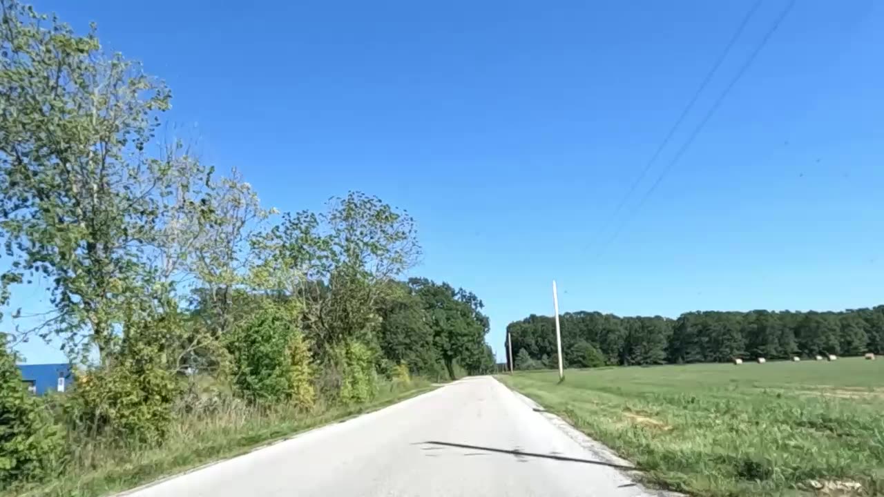 Life During Wartime (Jams)