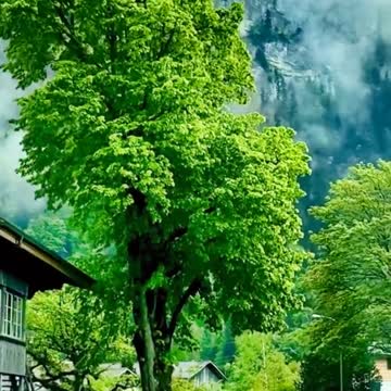 Beautiful amazing Nature beauty viral video