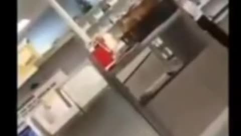 Non sono capaci di dimostrarti cosa produce ma te lo "assicurano"! Irresponsabili