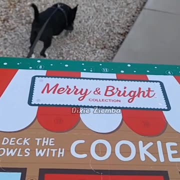 Surprise! Doggy Advent calendars