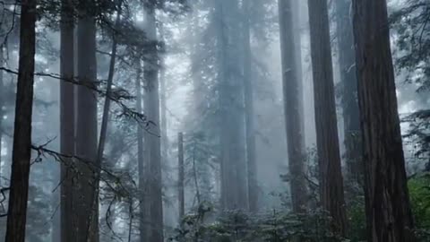 Those who like this atmosphere must be very unique