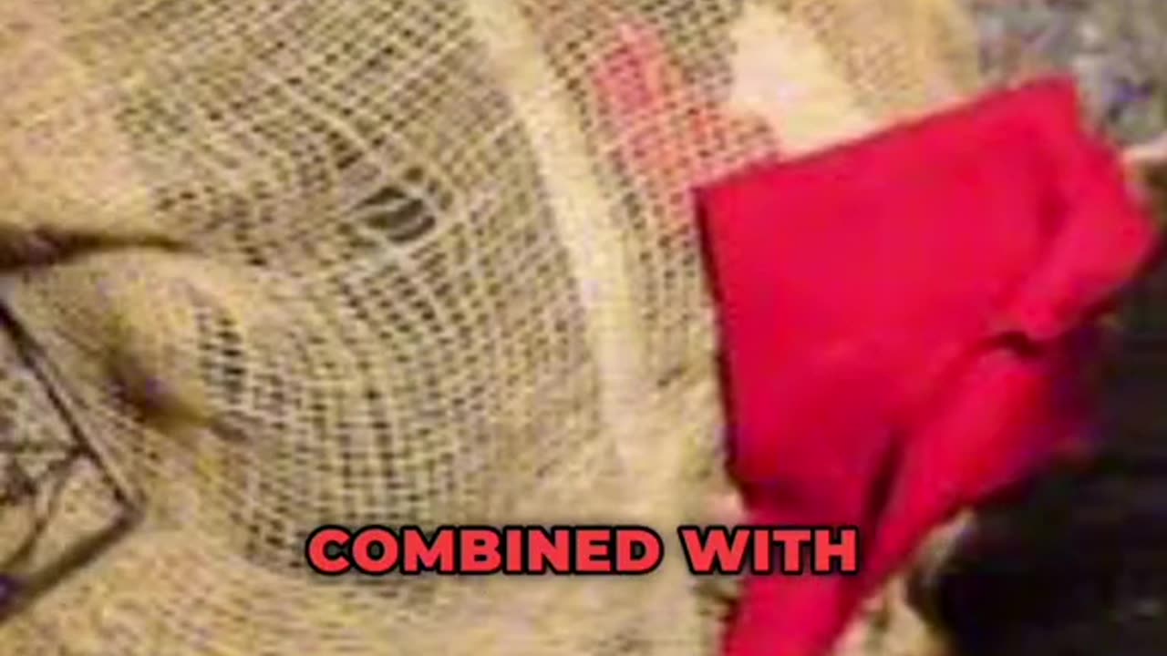 The Rats Cage Is One Of The Worse Torture Methods In Human History!