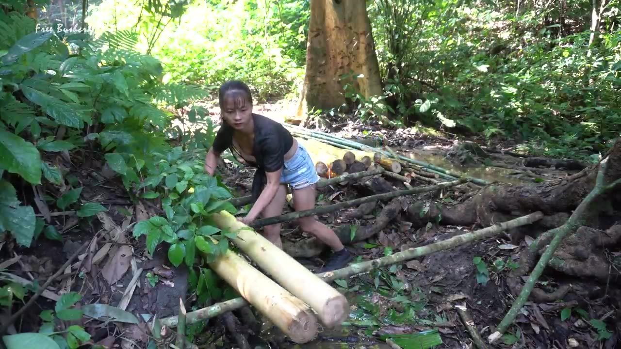 Camping Alone in 365 Days, Bushcraft Tent Shelter in Rainforest | Free Bushcraft Ep.42