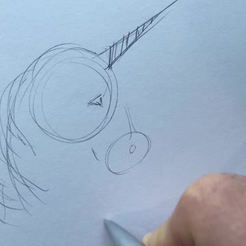 The unicorn sketch