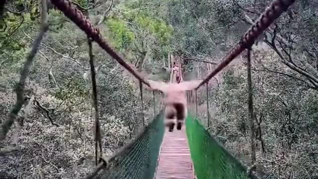 This was a crazy moment caught oncamera