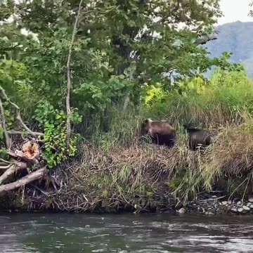 Детский сад на Камчатке ,Jardim de infância em Kamchatka