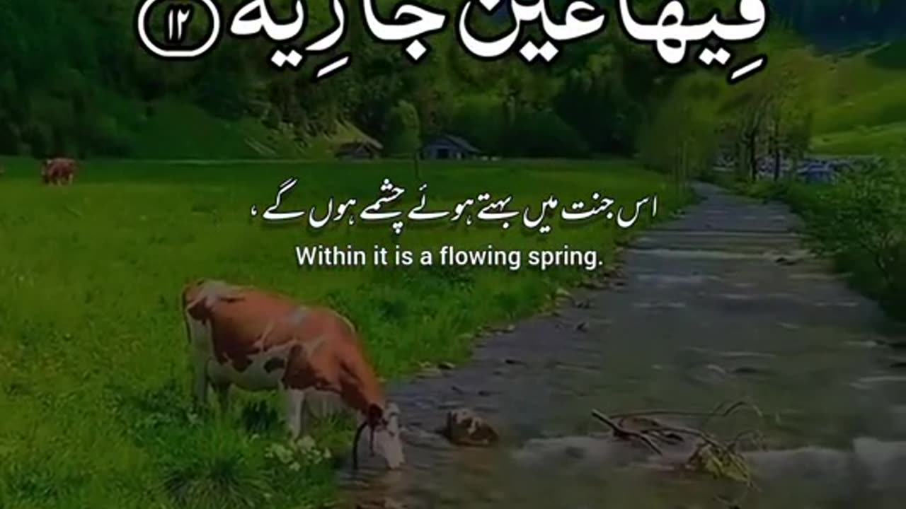 #Quran