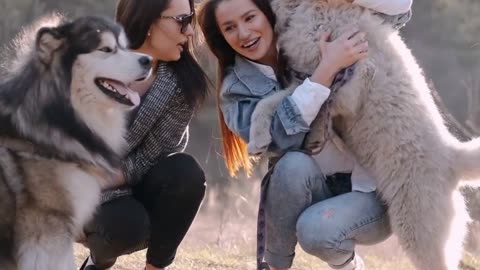 1 Hour of Funniest Animals 2023 - Funniest Cats and Dogs #Dug #cat