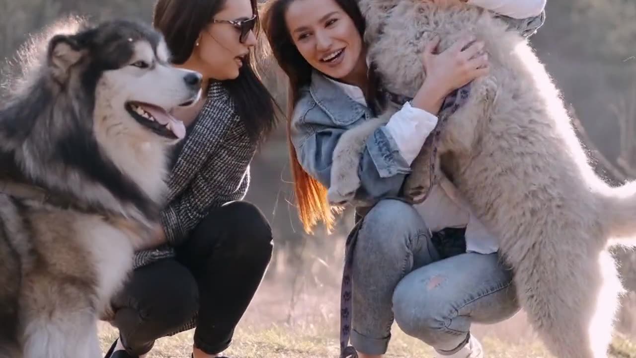 1 Hour of Funniest Animals 2023 - Funniest Cats and Dogs #Dug #cat