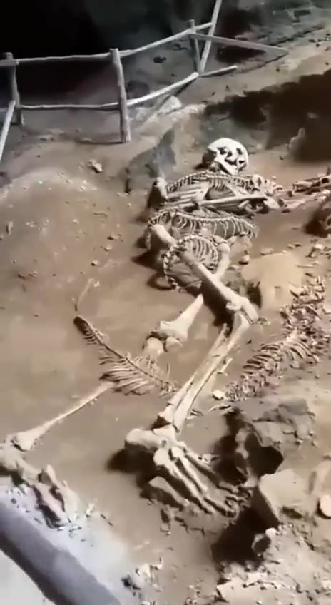 CIA's plan to bring Nephilim back to life using DNA technology