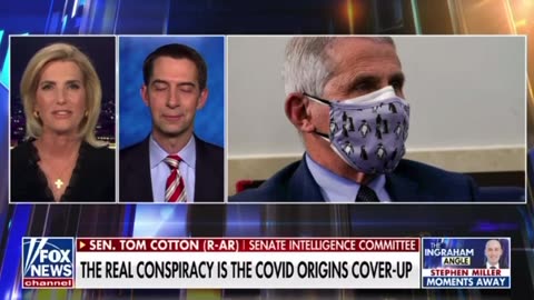 Tom Cotton: The real conspiracy is the covid origins cover-up