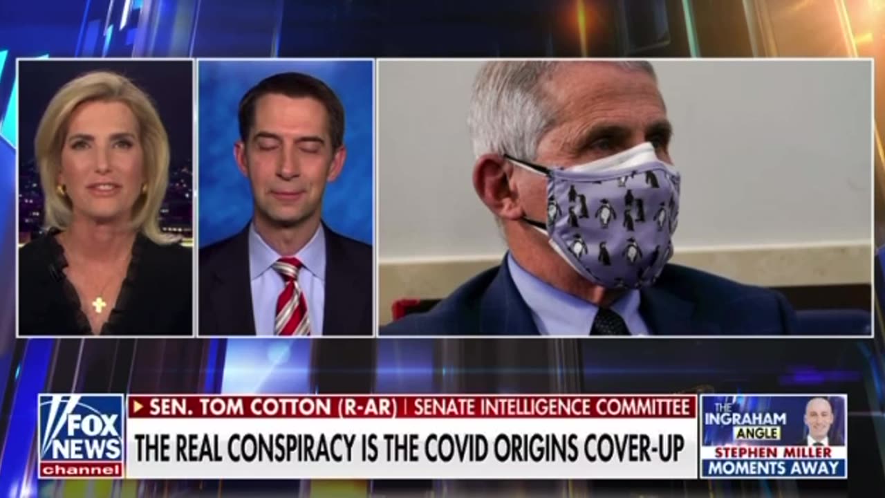 Tom Cotton: The real conspiracy is the covid origins cover-up