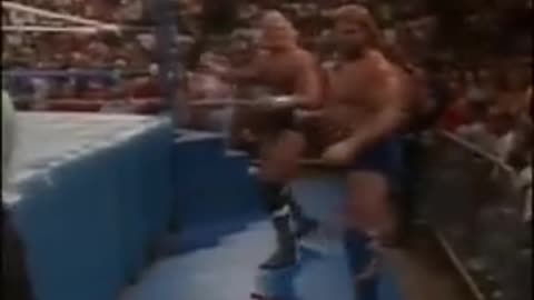 UNDERTAKER & JAKE ROBERTS ATTACK SID