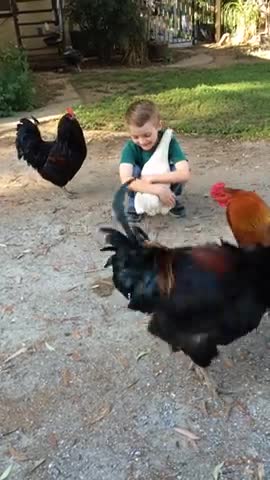 Watch the pets and their beauty 😍 😘