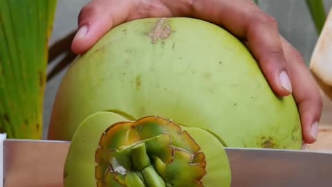 fantastic coconut cutting