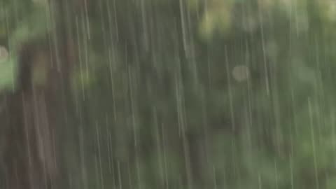 Brittonian - Heavy Rain, Gateshead UK (2009)