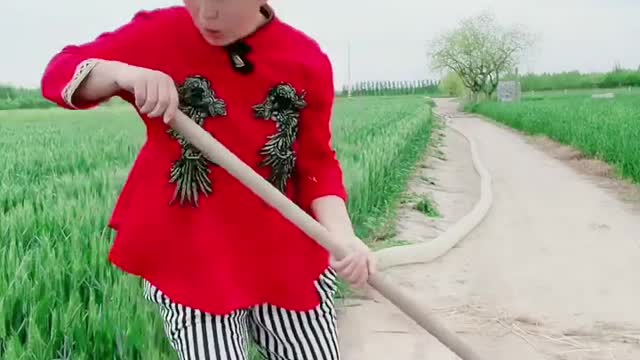 best funny Chinese video