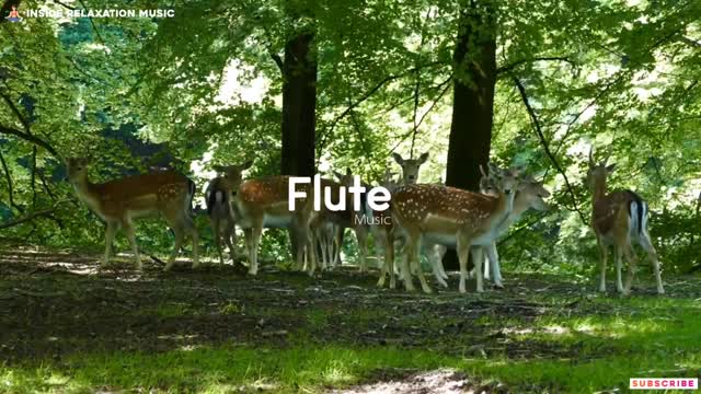 Krishna flute Music, uplifting mood music