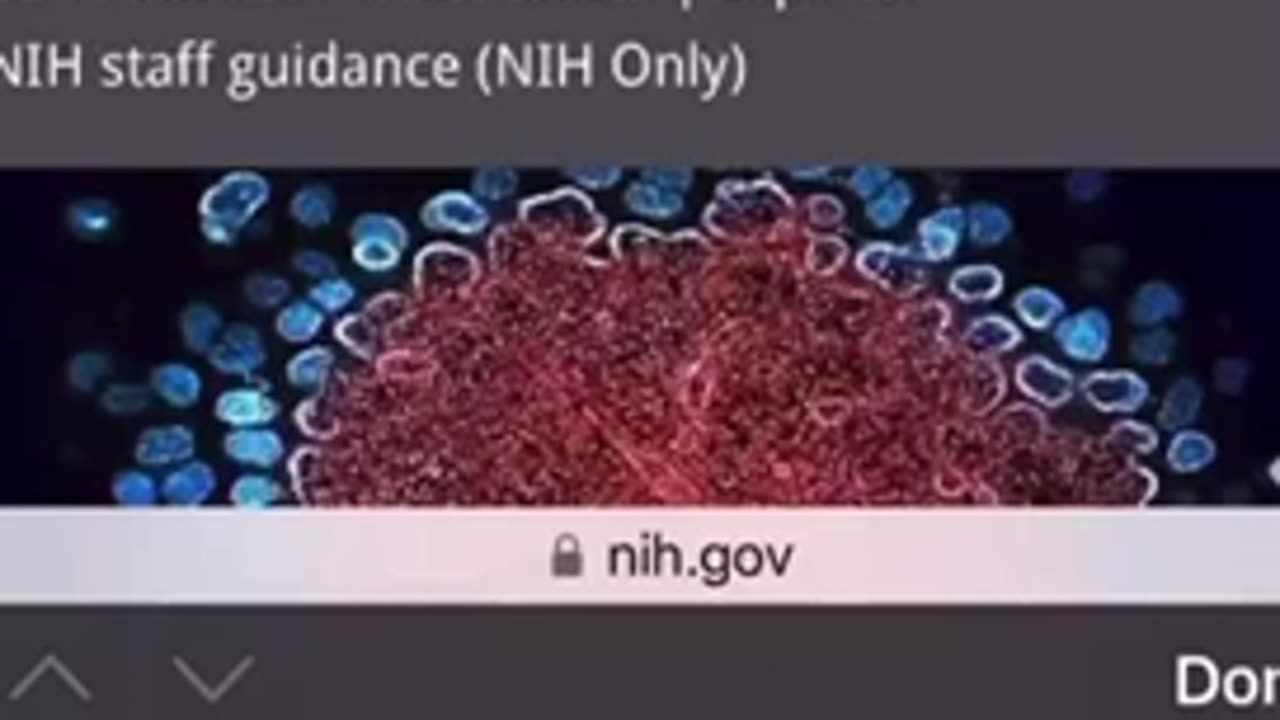 They’ve hidden the cure in plain sight | Ivermectin