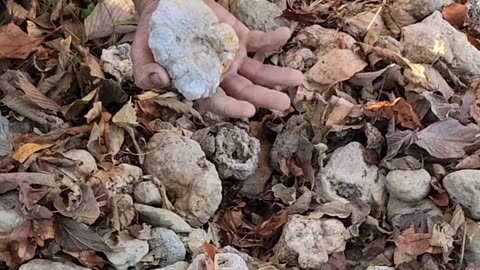 Flock it Farm: Massive Geode find.