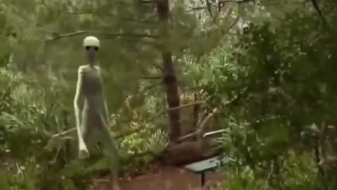 HUNTING CAMERA In The Amazon Captured BEINGS Of EXTRATERRESTRIAL ORIGIN