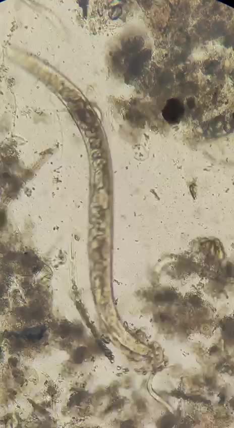 Put your Seatbelt on.. 😂🤣😂