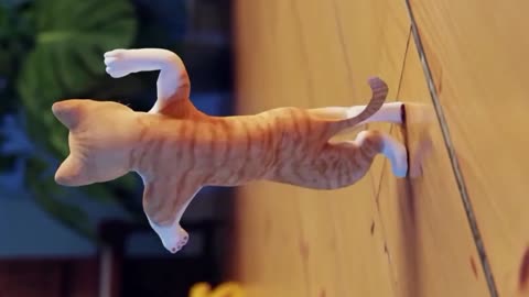 Kucing bergoyang