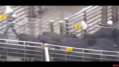 Books edited to get religions to assist elitist plans