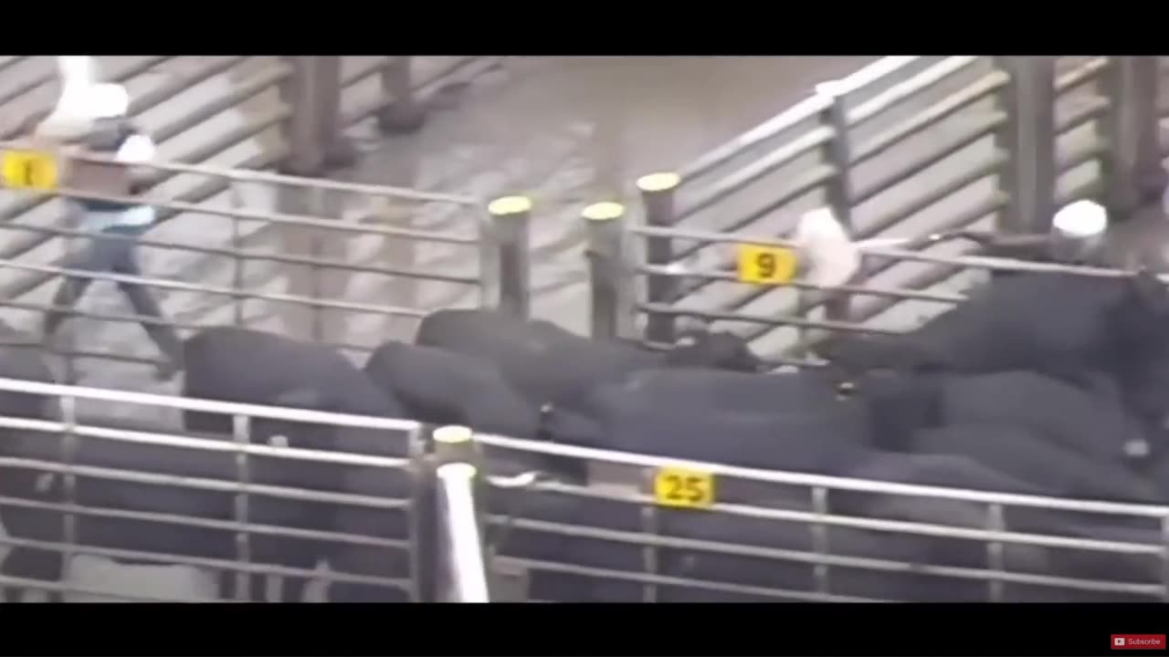 Books edited to get religions to assist elitist plans