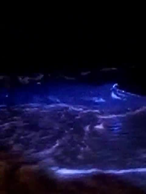 Juvenile humpback in KZN beach 30082023