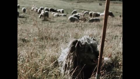 Jeseň na Slovensku v roku 1977