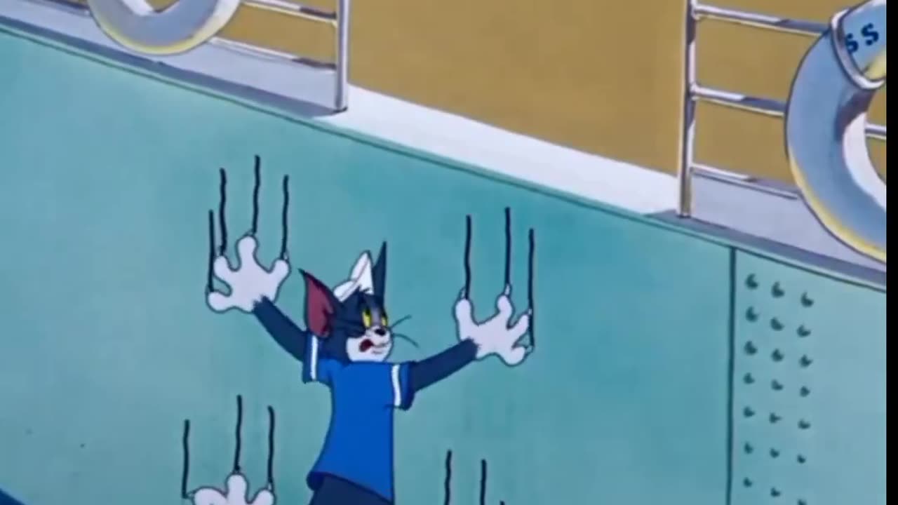 Tom and Jerry funny video