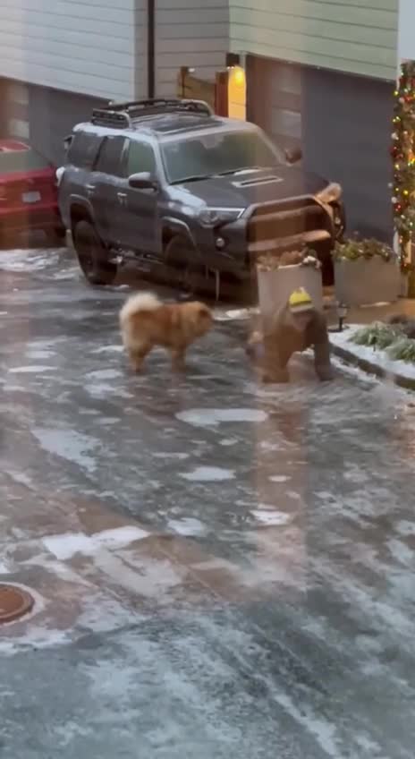 One of life's struggle