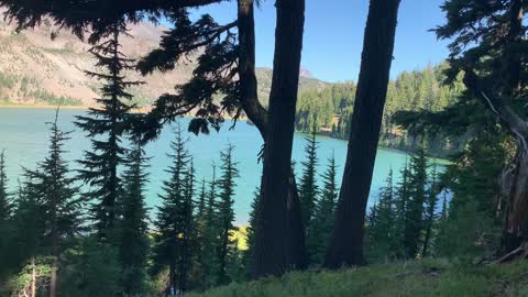 Central Oregon - Three Sisters Wilderness - Forest Perspective of Epic Landscape