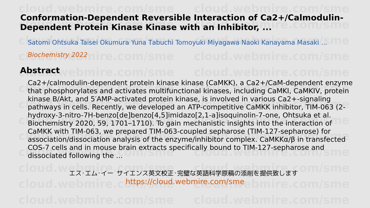 ScioBio ･ Conformation-Dependent Reversible Interaction of Ca2+/Calmodulin-Dependent Protein Kinase