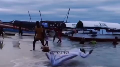 So Funny Video ** Guys 1 like For this Man**