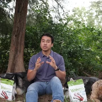 compilation | baby animals 79 | cute animals 79 | kids #shorts