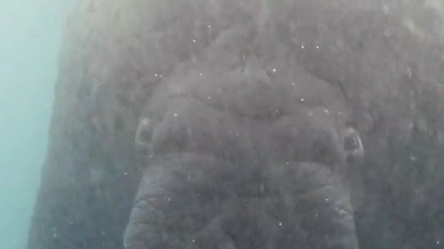 An eco-genie from the South Pole feels the beauty of nature