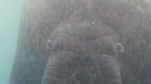 An eco-genie from the South Pole feels the beauty of nature