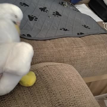 Cloud being a silly boy lol