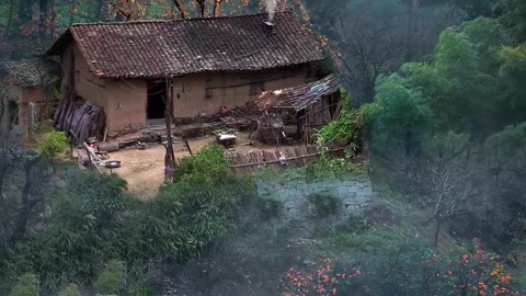 Quiet home
