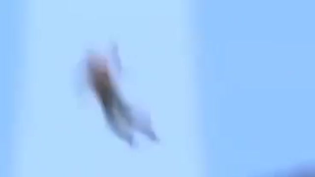 UFO ABDUCING MAN REAL VIDEO WATCH THE VIDEO AND SHARE