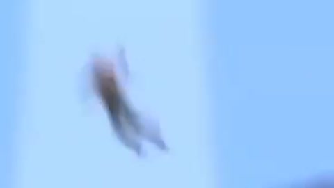 UFO ABDUCING MAN REAL VIDEO WATCH THE VIDEO AND SHARE