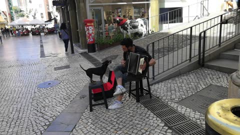 A dog who could sing