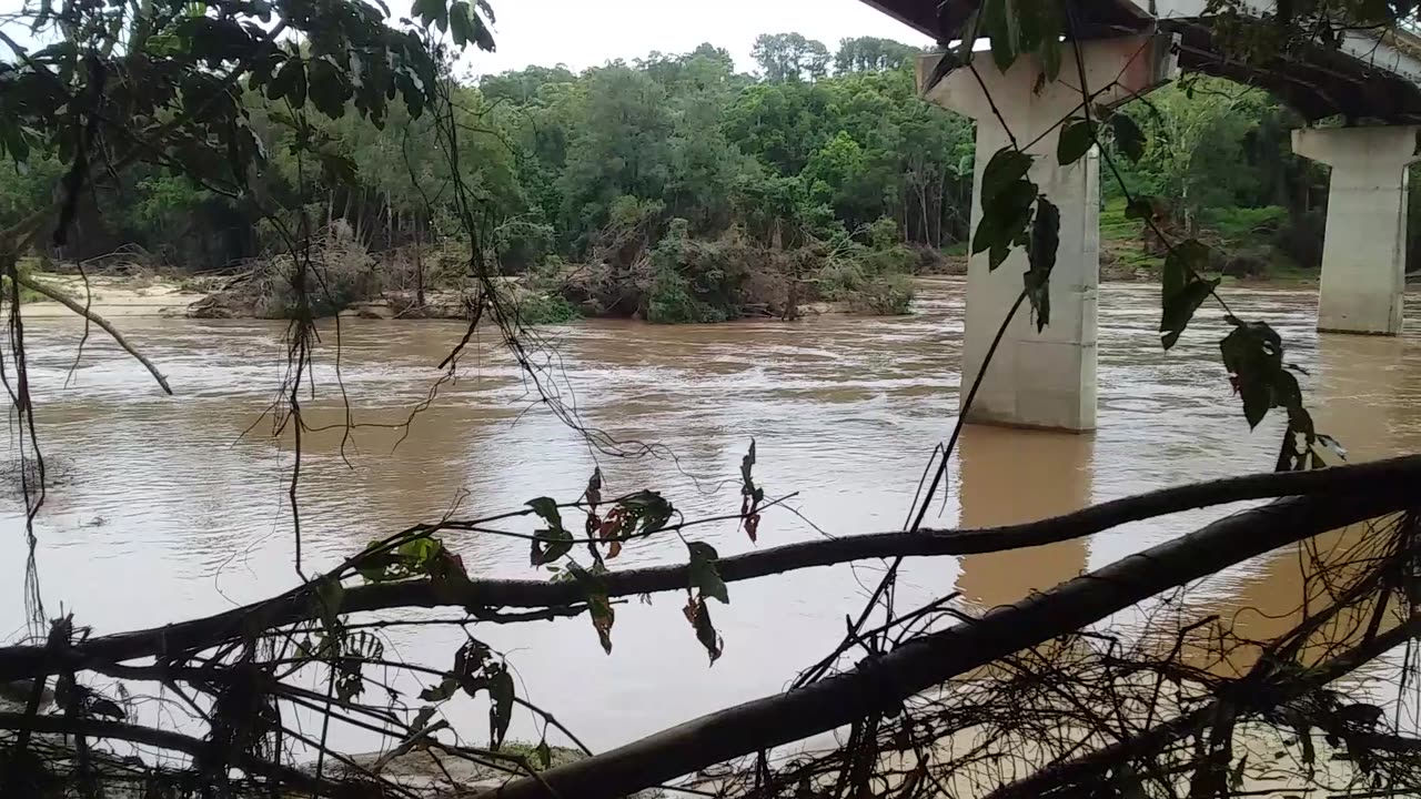 21.1.2024 Barron River, Esplanade, Kuranda