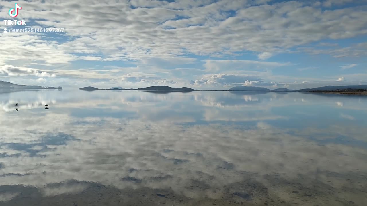 Frenchman Bay, albany