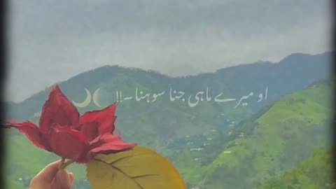 Whatsapp status