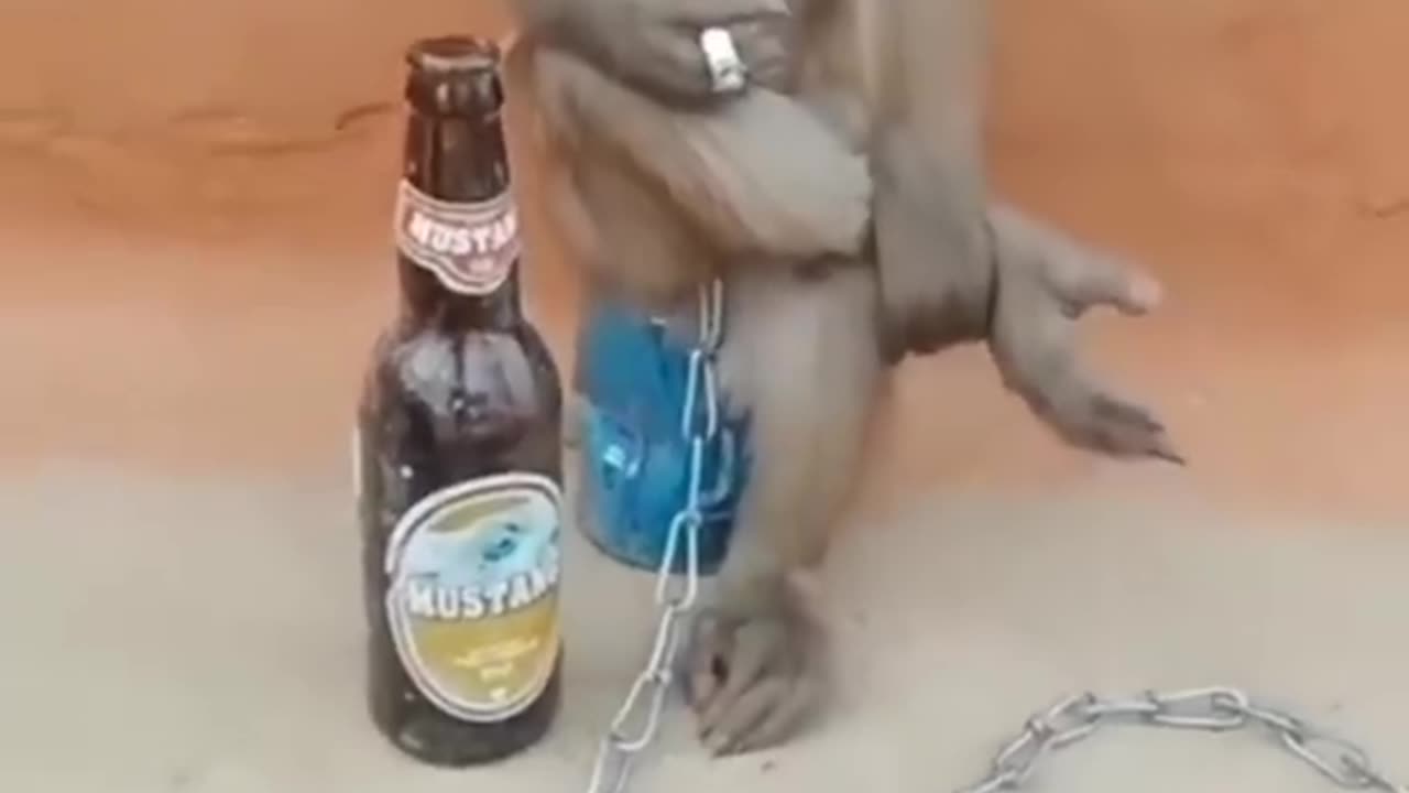 best video
