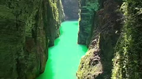 vídeos aleatórios assiste e seja bem vindo